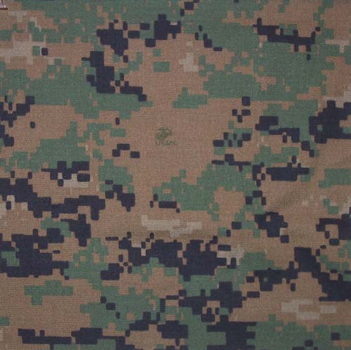 woodland.jpg